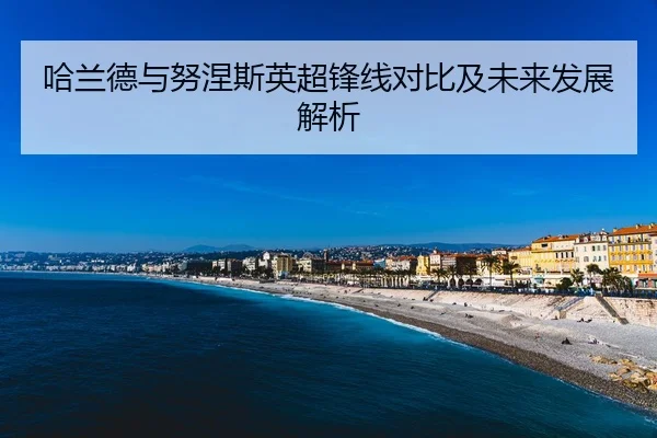 哈兰德与努涅斯英超锋线对比及未来发展解析